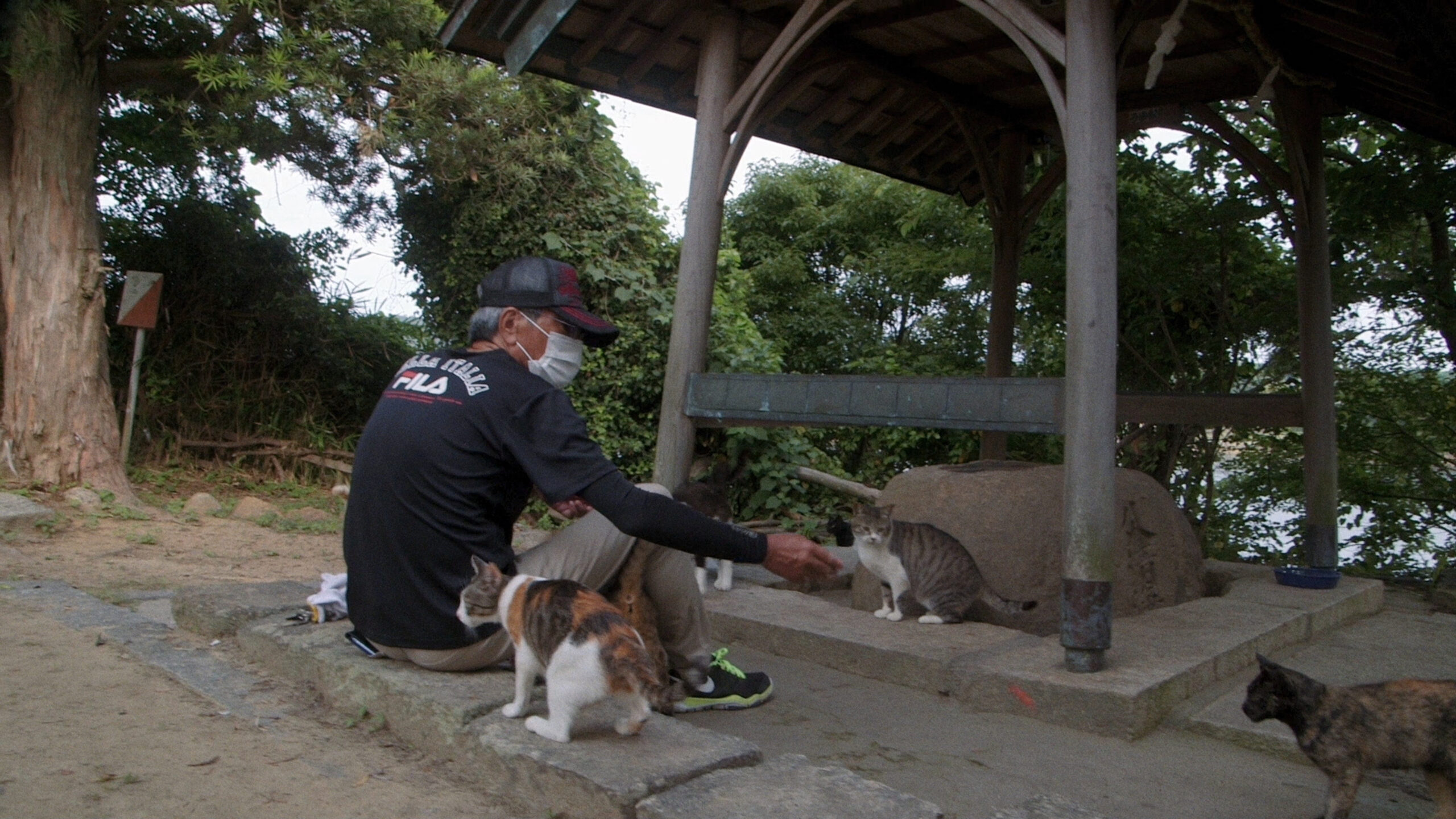 THE CATS_still6_Tecchan